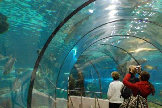 L'Aquarium