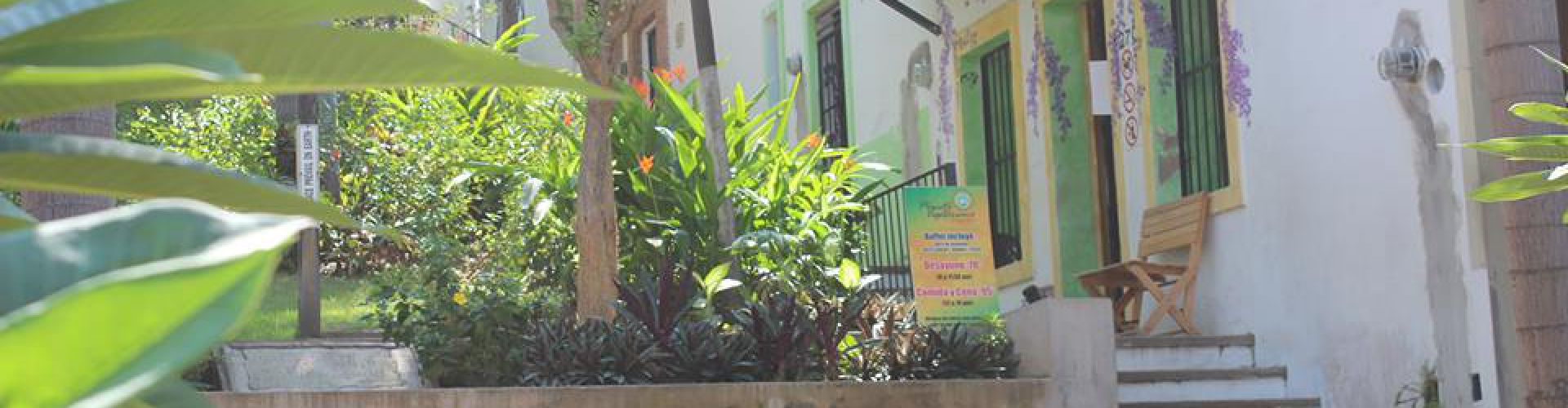 Planeta Vegetariano - Casual - Puerto Vallarta - Reviews - ellgeeBE