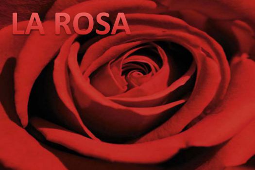 La Rosa