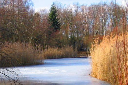 Volkspark Hasenheide