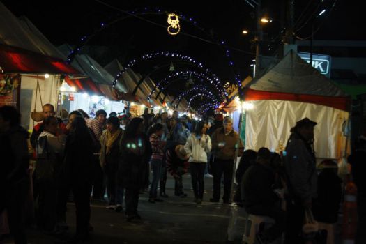 Usaquén Flea Market