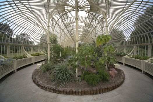 National Botanic Garden, Dublin