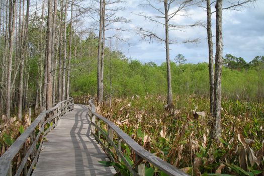 Everglades National Park, Miami, United States