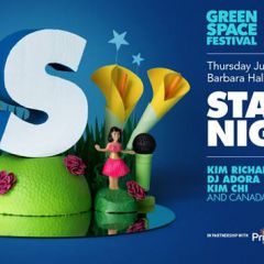 Green Space Festival: Starry Night