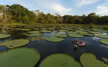 Guyana travel guide