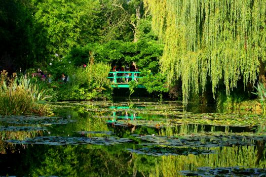 Monet's Garden (Giverny)