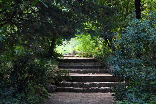 Jardin des Plantes