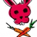 Hot Rabbit / Boy Wonder Events