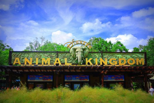 Disney's Animal Kingdom