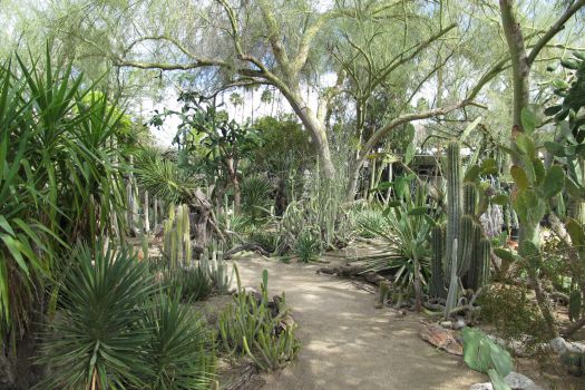 Moorten Botanical Garden