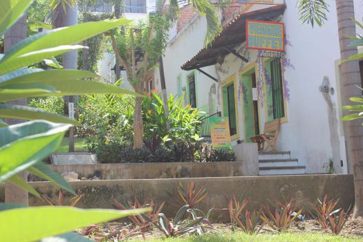 Foto de Planeta Vegetariano, Puerto Vallarta: Planeta Vegetariano -  Tripadvisor