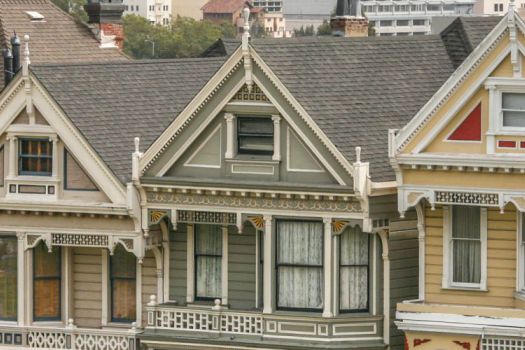 Painted Ladies