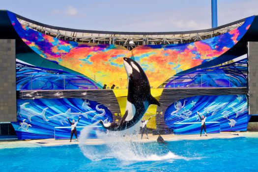 SeaWorld San Diego