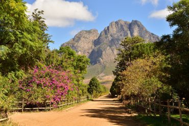 Cape Town itinerary : In Boer Country