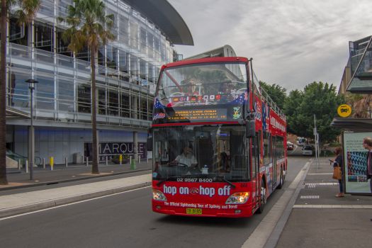 Sydney and Bondi Hop-On Hop-Off Bus Tour