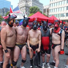 Toronto Puppy Pride Party 2017