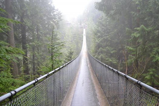 Capilano Suspension Bridge