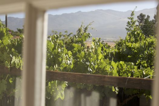 Small image of The Stable, Cape Town