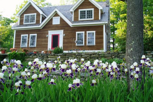 Small image of Frog Meadow Oasis for Men