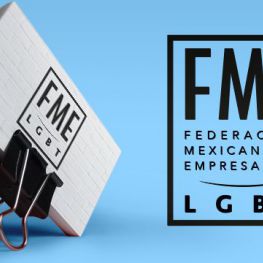 Federación Mexicana de Empresarios LGBT's profile