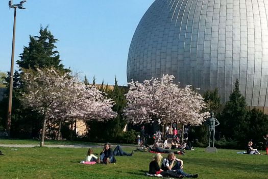 Hörspielkino unterm Sternehimmel