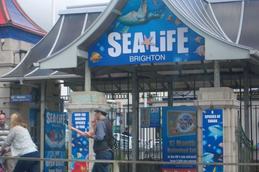 Sea Life Center