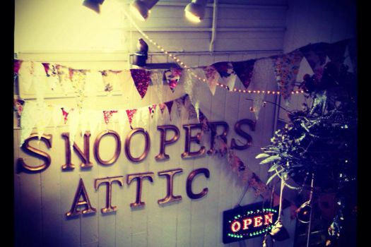 Snoopers' Attic