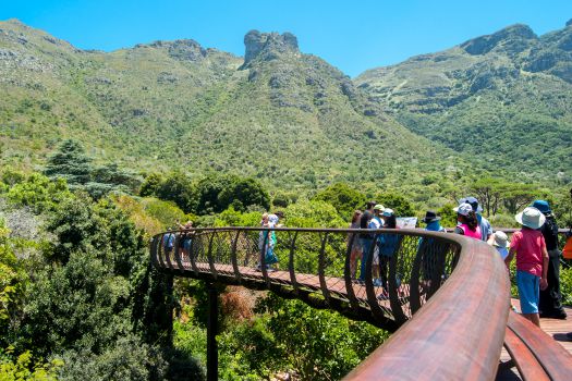 Kirstenbosch Botanical Gardens, Cape Town