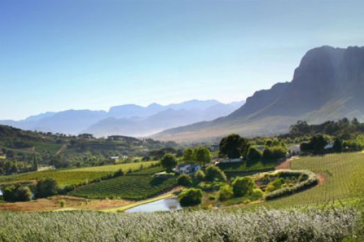 Stellenbosch