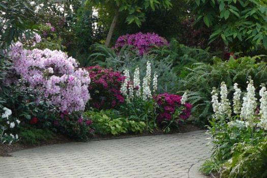 Garfield Park Conservatory