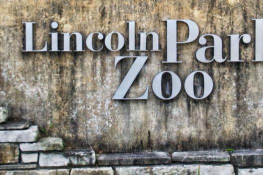 Lincoln Park Zoo