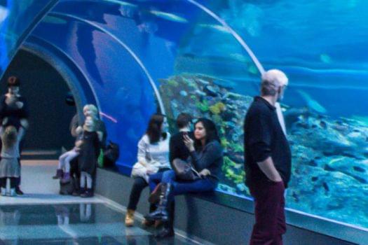 Blue Planet Aqaurium