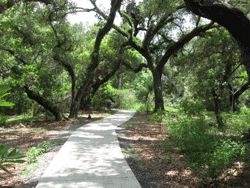 Long Key Natural Area and Nature Center