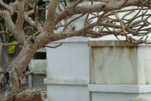 Key West Cemetery