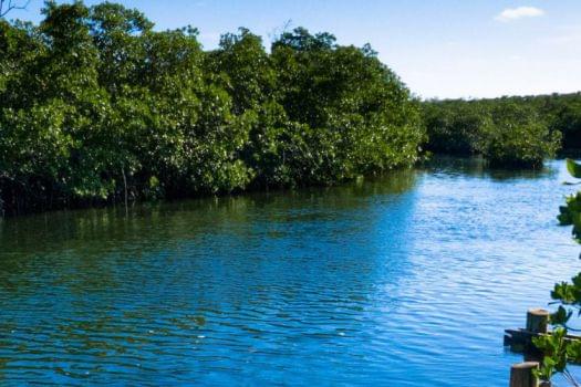 John Pennekamp State Park, Key West