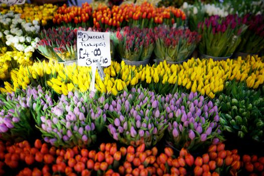 Columbia Road Flower Market