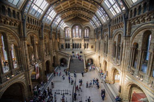 Natural History Museum