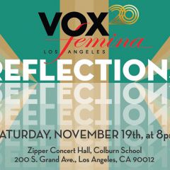 Vox20: Reflections