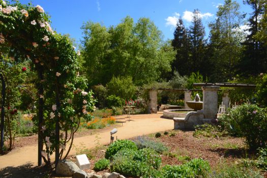 Descanso Gardens