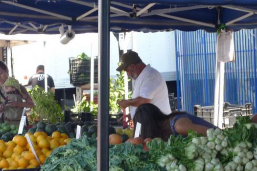 Farmer's Market