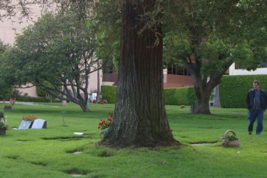 The Pierce Brothers Cemetery