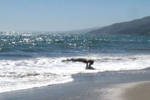 Will Rogers State Park Beach