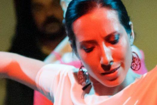 Old Town Tour and Flamenco Show