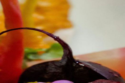 dish Creative Cuisine, Palm Springs