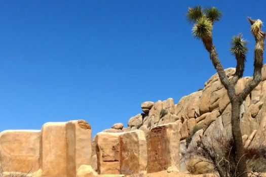 Joshua Tree National Park, Palm Springs, United States