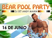 Bear Pool Party