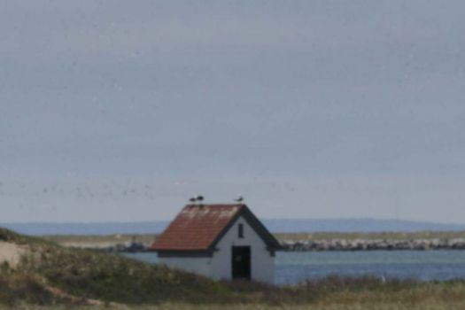 Long Point Lighthouse Trail