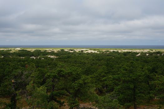 Province Lands Visitor Center