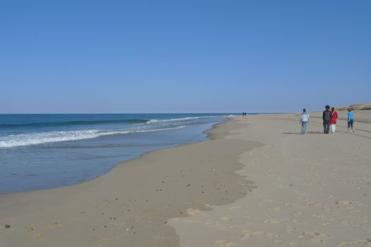 Race Point Beach