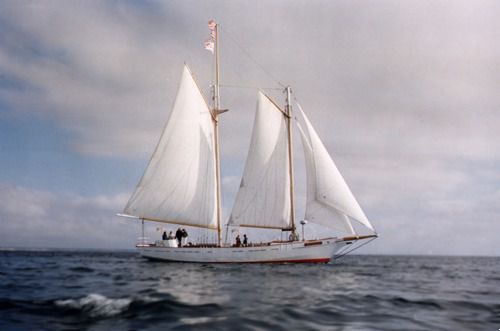 Schooner Bay Lady II